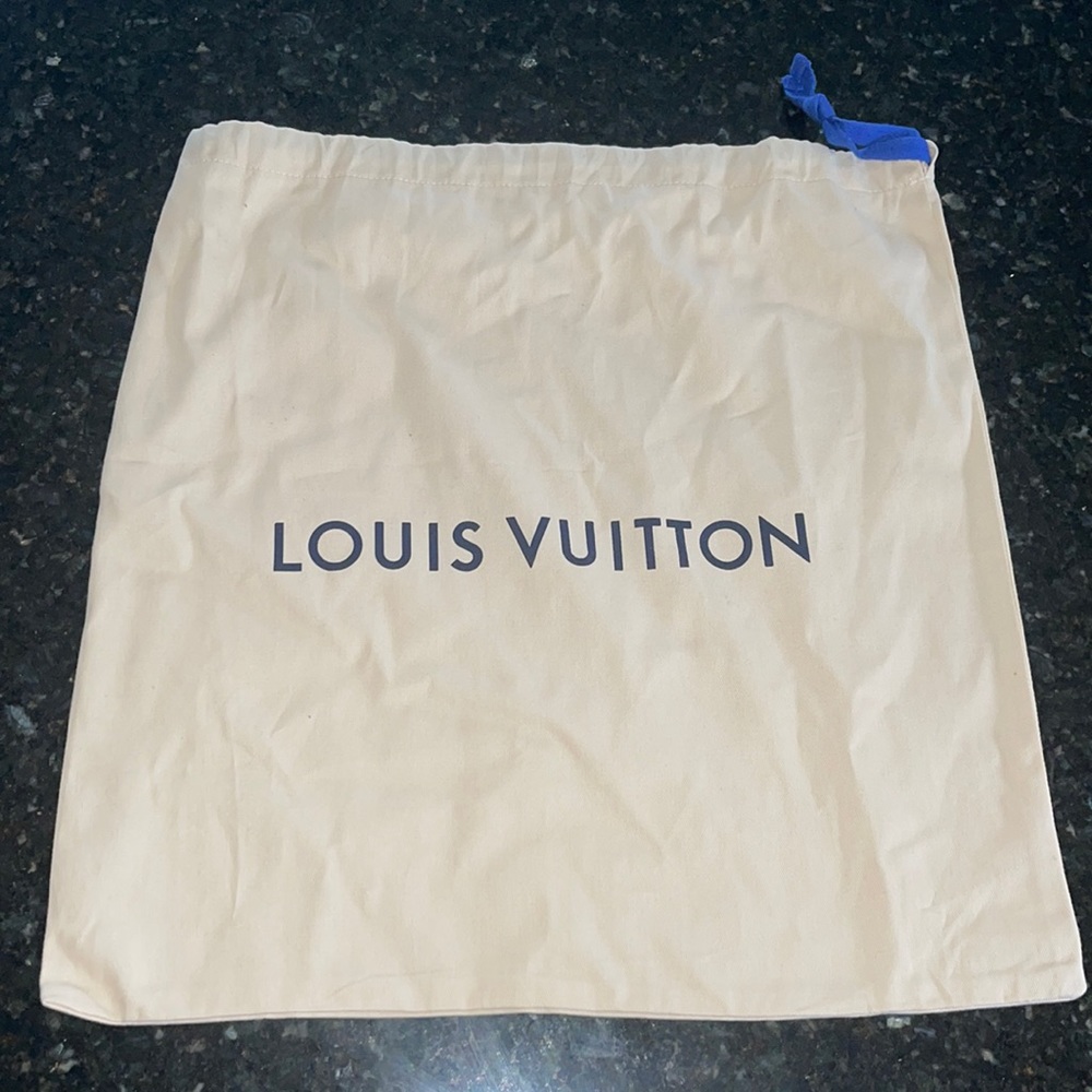 Louis Vuitton Large Dust Bag